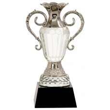 Premier Crystal Cup 